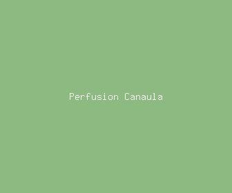 perfusion canaula meaning, definitions, synonyms